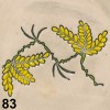 Acacia branch