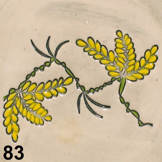 Acacia branch