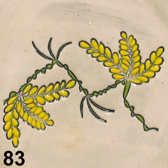 Acacia branch