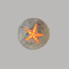 Starfish plate size S Starfish plate size S