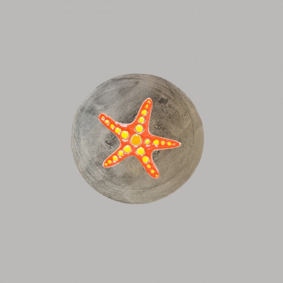 Starfish size S Starfish plate size S