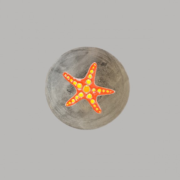 Starfish plate size S Starfish plate size S
