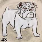 The Bulldog The Bulldog