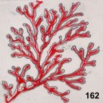 Корал Корал